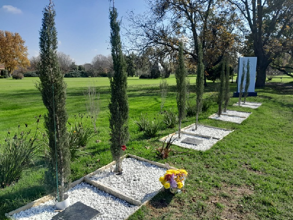 Espacio Árbol de vida Oeste